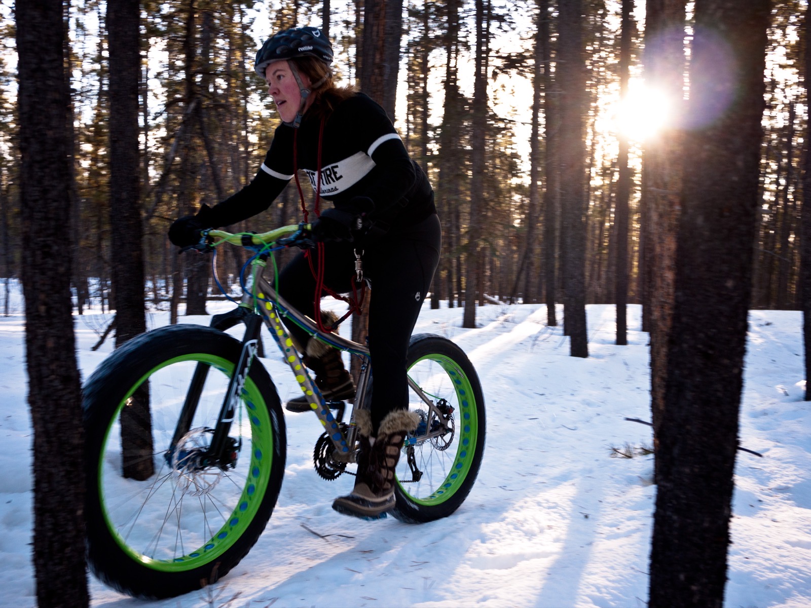 A cyclist riding a fat tire bike through snow in a backlit pine forest